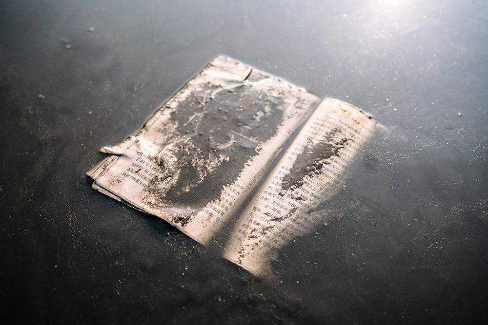 朝阳公园自助图书机出现故障，图书馆：尽快维修