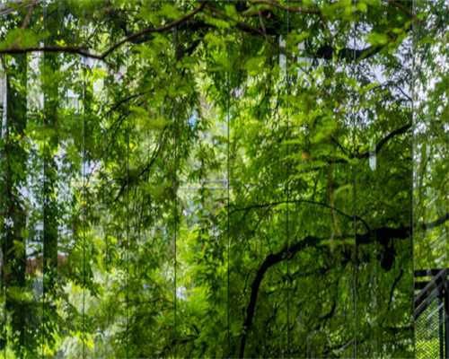 国家图书馆、国图基金会向南京江北图书馆移交图书3万册