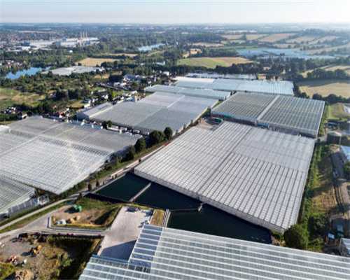 图书批发时选择图书公司还是图书市场？