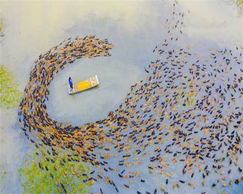 地铁站化身图书馆？白云区图书馆“开卷计划”走进高增站