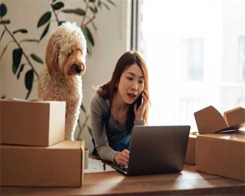 图书馆利器——图书管理系统