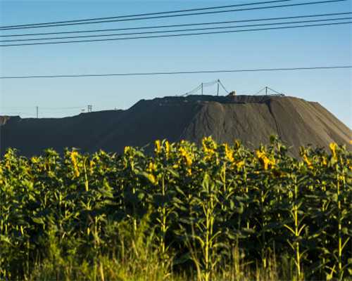 国家图书馆、国图基金会向南京江北图书馆移交图书3万册