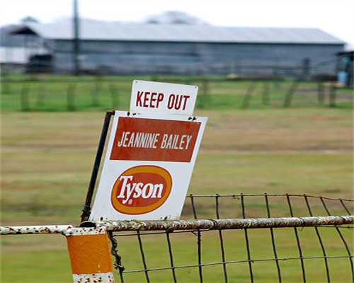 进图书馆？终于有人把图书情报说清楚了