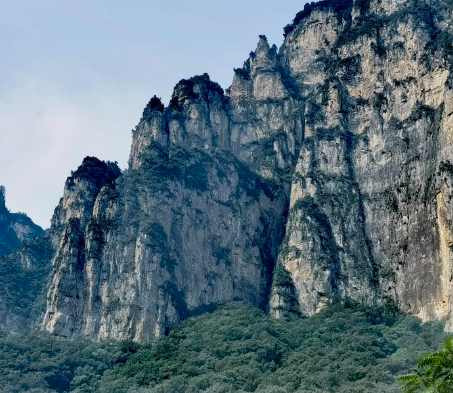 朝阳公园自助图书机出现故障，图书馆：尽快维修